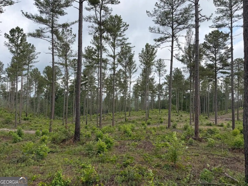 0 Mt Sinai Road, Unit LOT 1 Lula, GA 30554 - Photo 62 of 67