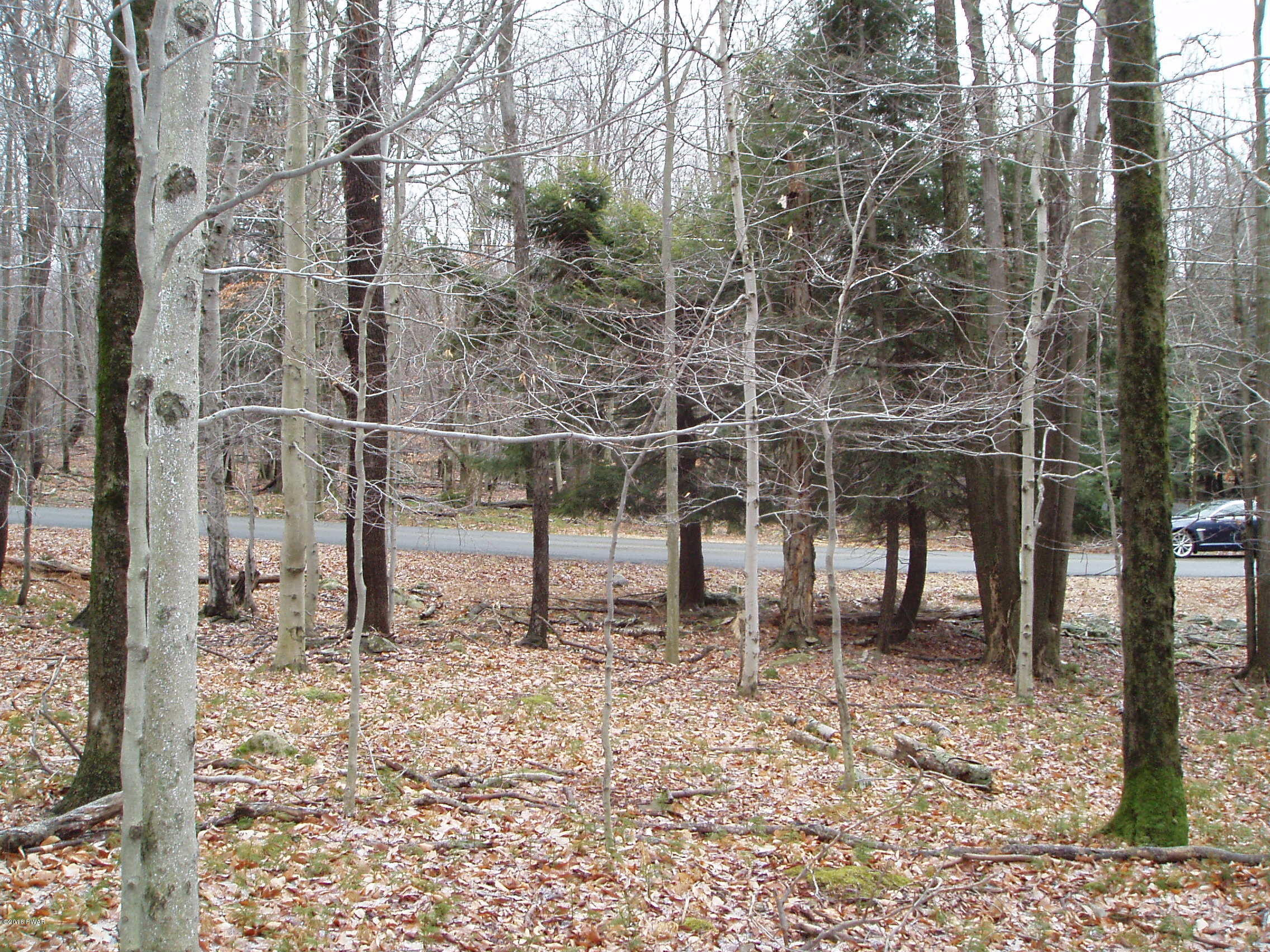 125 Cobblewood Road Newfoundland, PA 18445 - Photo 2 of 2