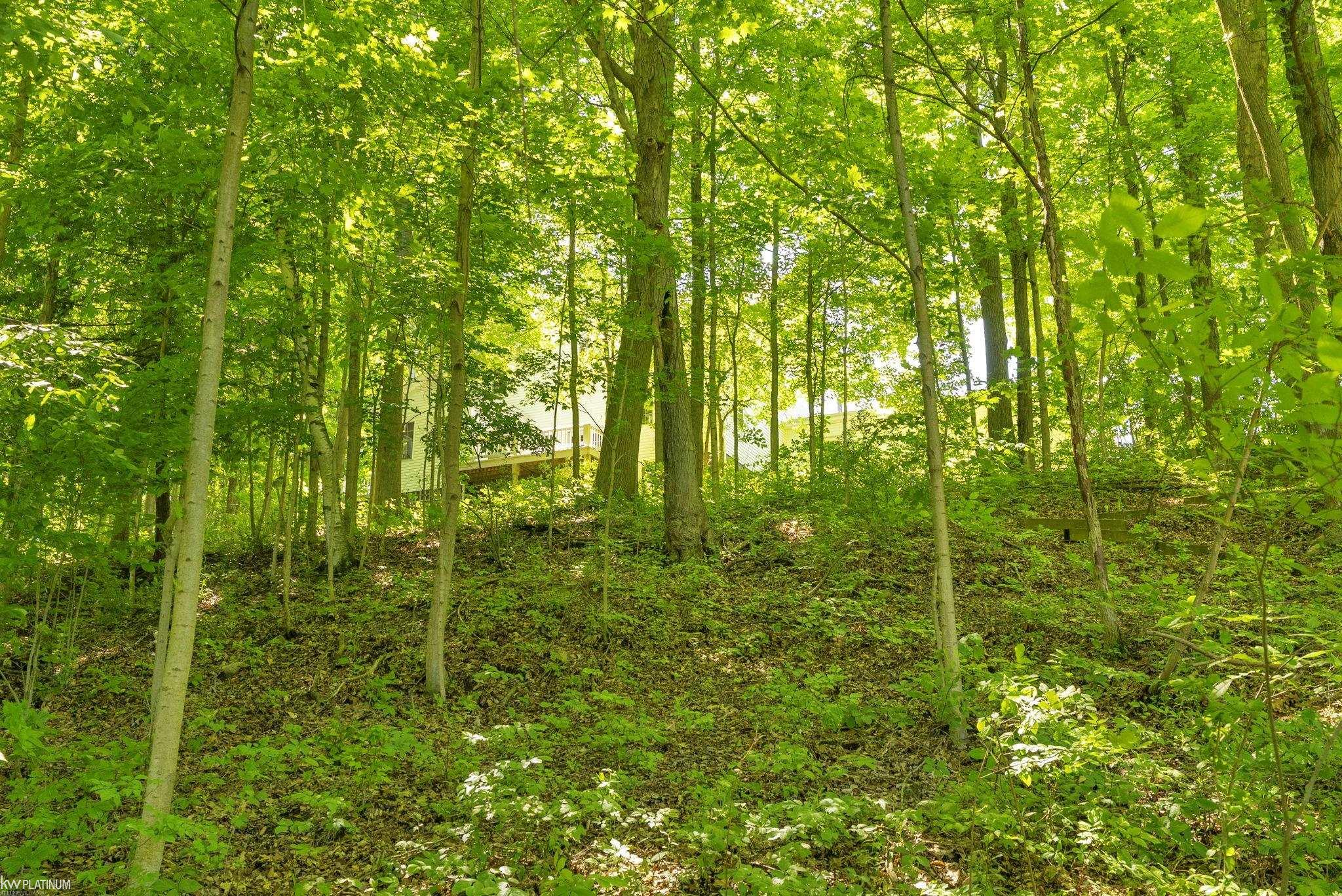 8211 Black River Road Jeddo, MI 48032 - Photo 55 of 67