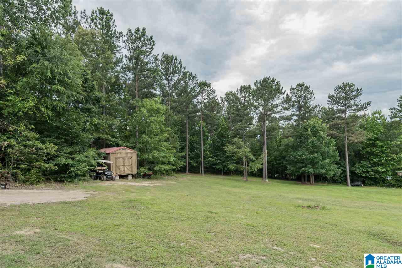 180 Turkey Trail Road Odenville, AL 35120 - Photo 39 of 40