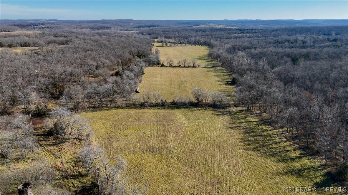 1508 North Davis Hollow Road Richland, MO 65556 - Photo 22 of 53