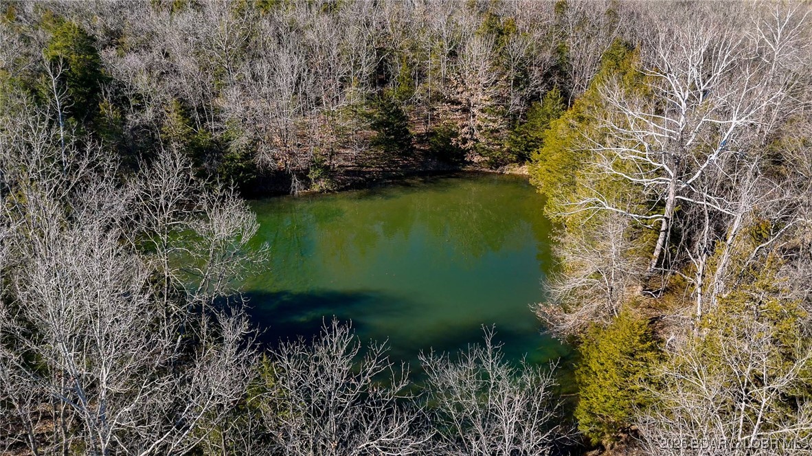 1508 North Davis Hollow Road Richland, MO 65556 - Photo 24 of 53