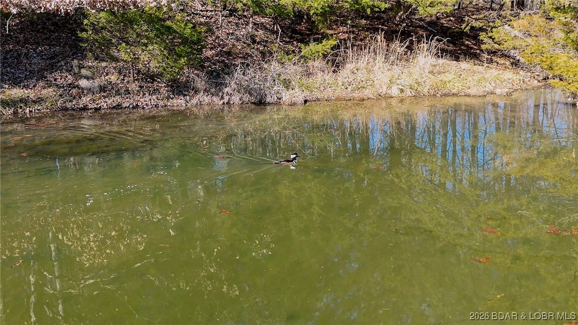 1508 North Davis Hollow Road Richland, MO 65556 - Photo 26 of 53