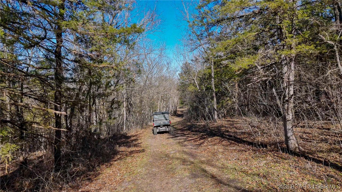 1508 North Davis Hollow Road Richland, MO 65556 - Photo 28 of 53