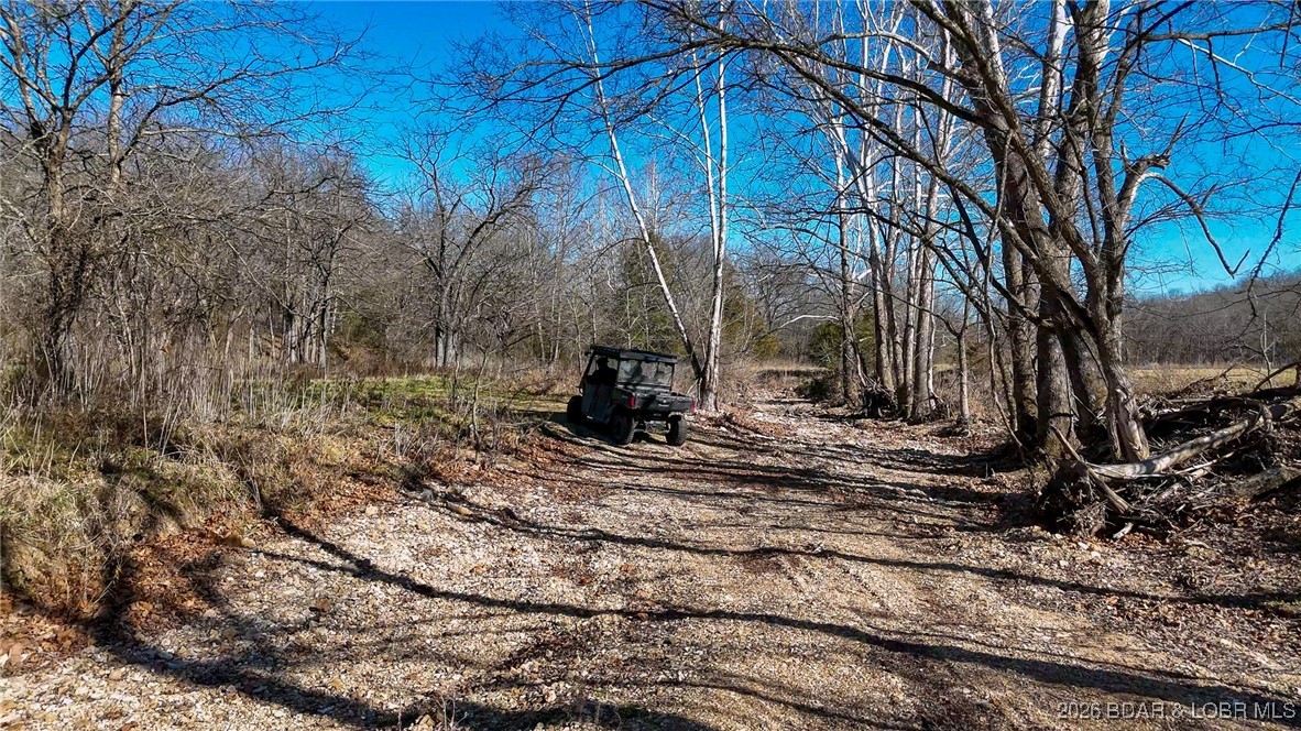 1508 North Davis Hollow Road Richland, MO 65556 - Photo 29 of 53