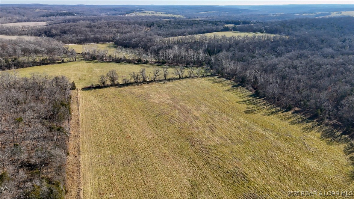 1508 North Davis Hollow Road Richland, MO 65556 - Photo 4 of 53