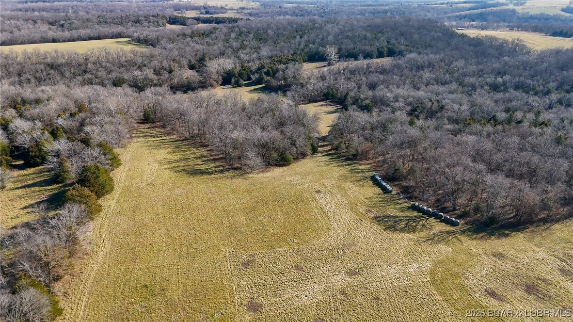 1508 North Davis Hollow Road Richland, MO 65556 - Photo 6 of 53