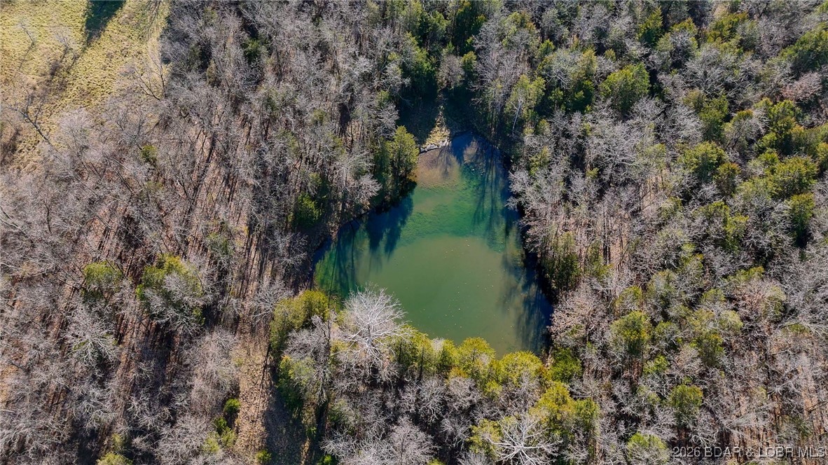 1508 North Davis Hollow Road Richland, MO 65556 - Photo 8 of 53