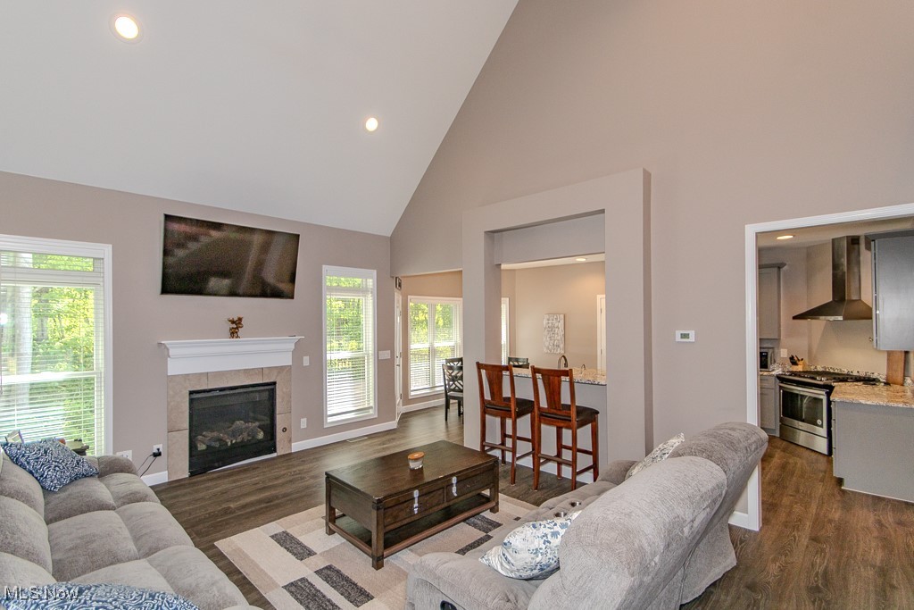8675 Auburn Road Chardon, OH 44024 - Photo 16 of 35 Living room with high vaulted ceiling, recessed lighting, a fireplace, and dark wood-type flooring
