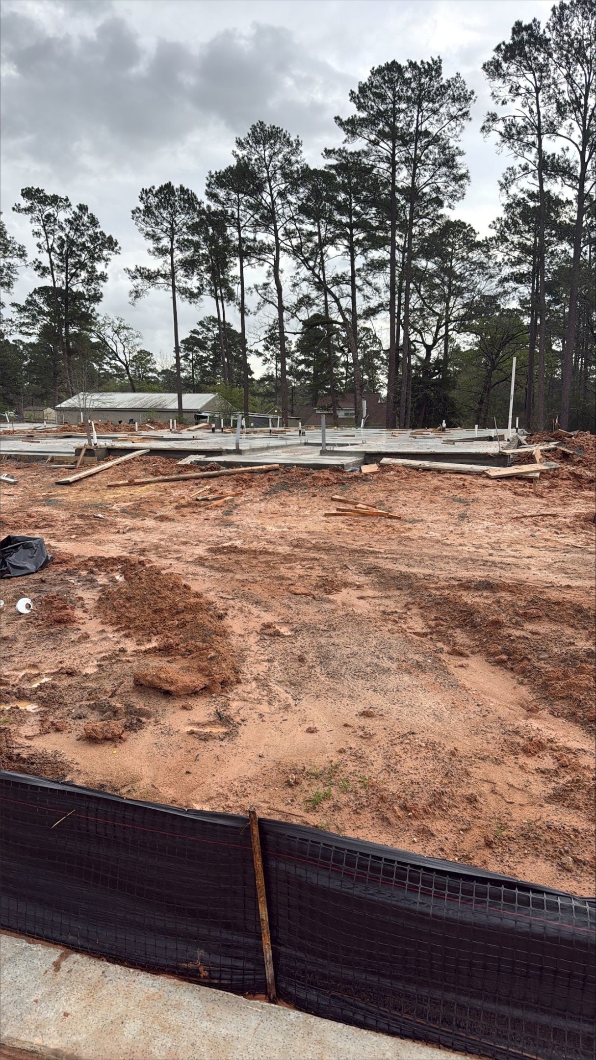 16863 Deep Wingbat Way Magnolia, TX 77354 - Photo 12 of 16 a view of outdoor space with lots of trees