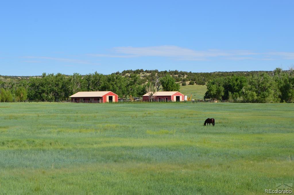 6053 Muddy Creek Road Pueblo, CO 81004 - Photo 33 of 50 a front view of a house with a yard