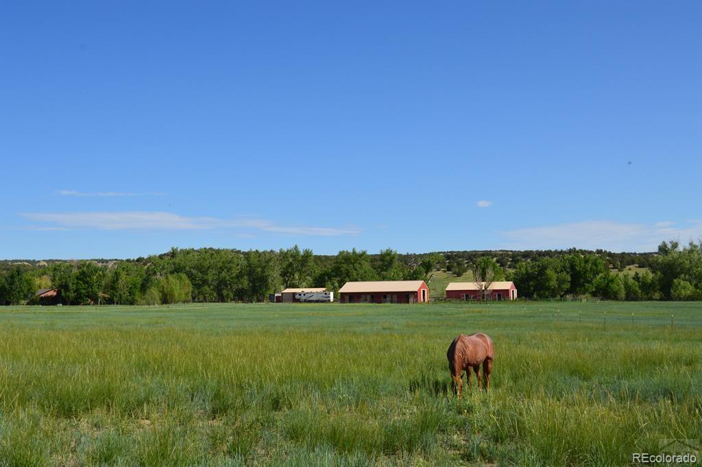6053 Muddy Creek Road Pueblo, CO 81004 - Photo 44 of 50 a view of a garden with an outdoor space