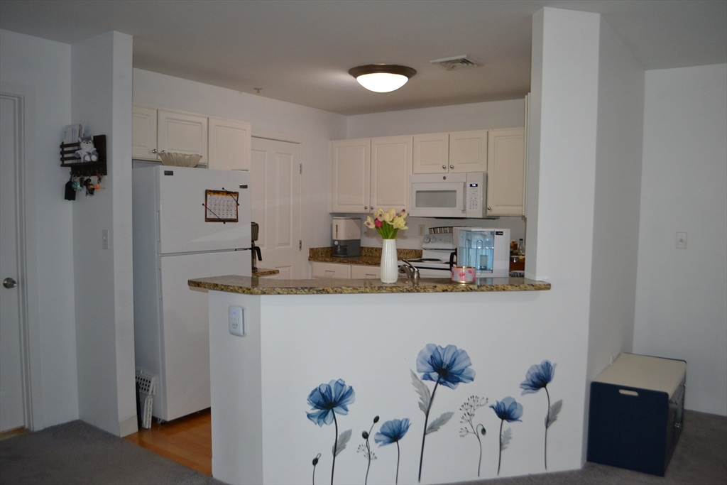 30 Franklin Street, Unit 205 Malden, MA 02148 - Photo 6 of 29 Gallery Image 6
