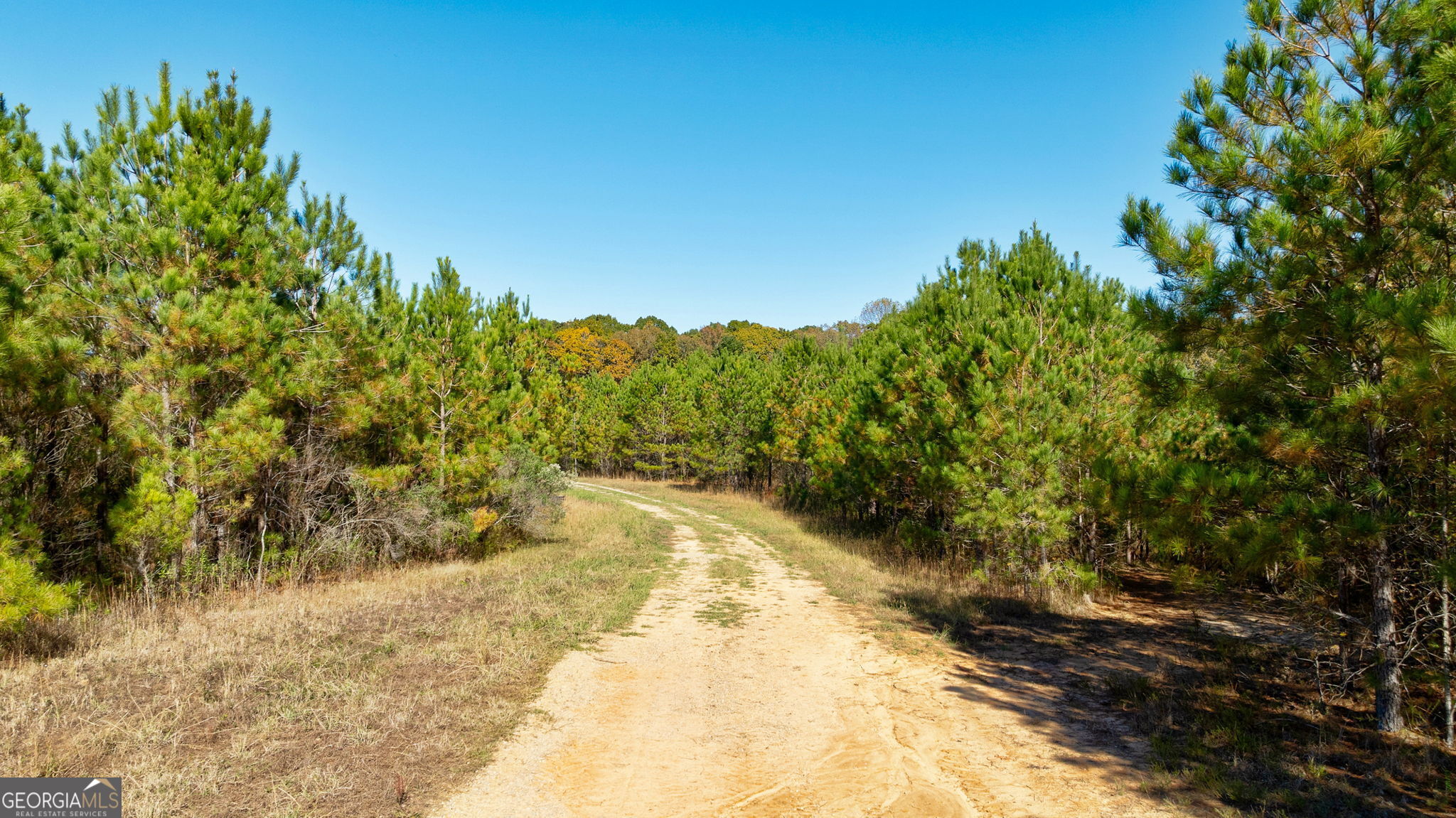 889 Wesley Chapel Road Lexington, GA 30648 - Photo 11 of 63