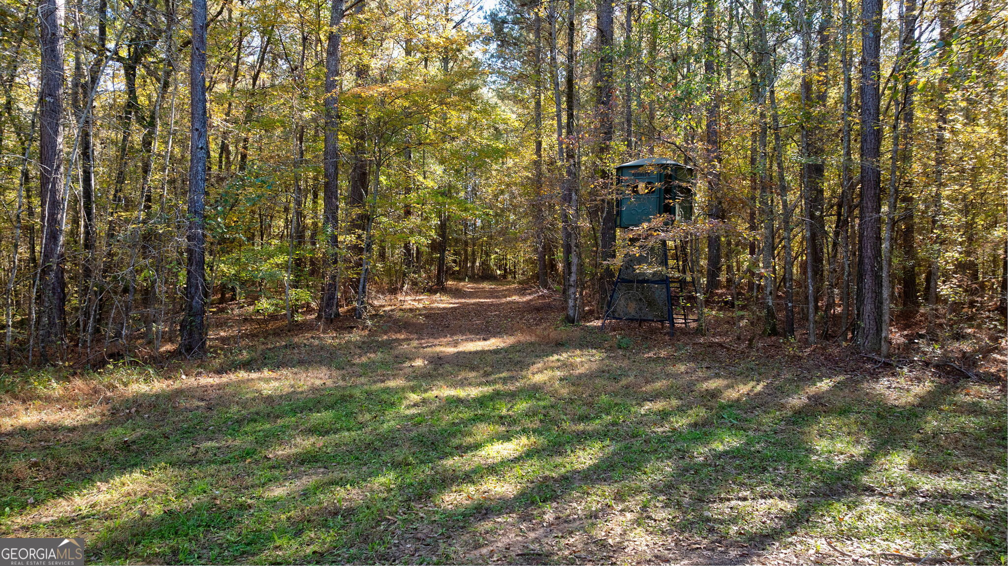 889 Wesley Chapel Road Lexington, GA 30648 - Photo 12 of 63