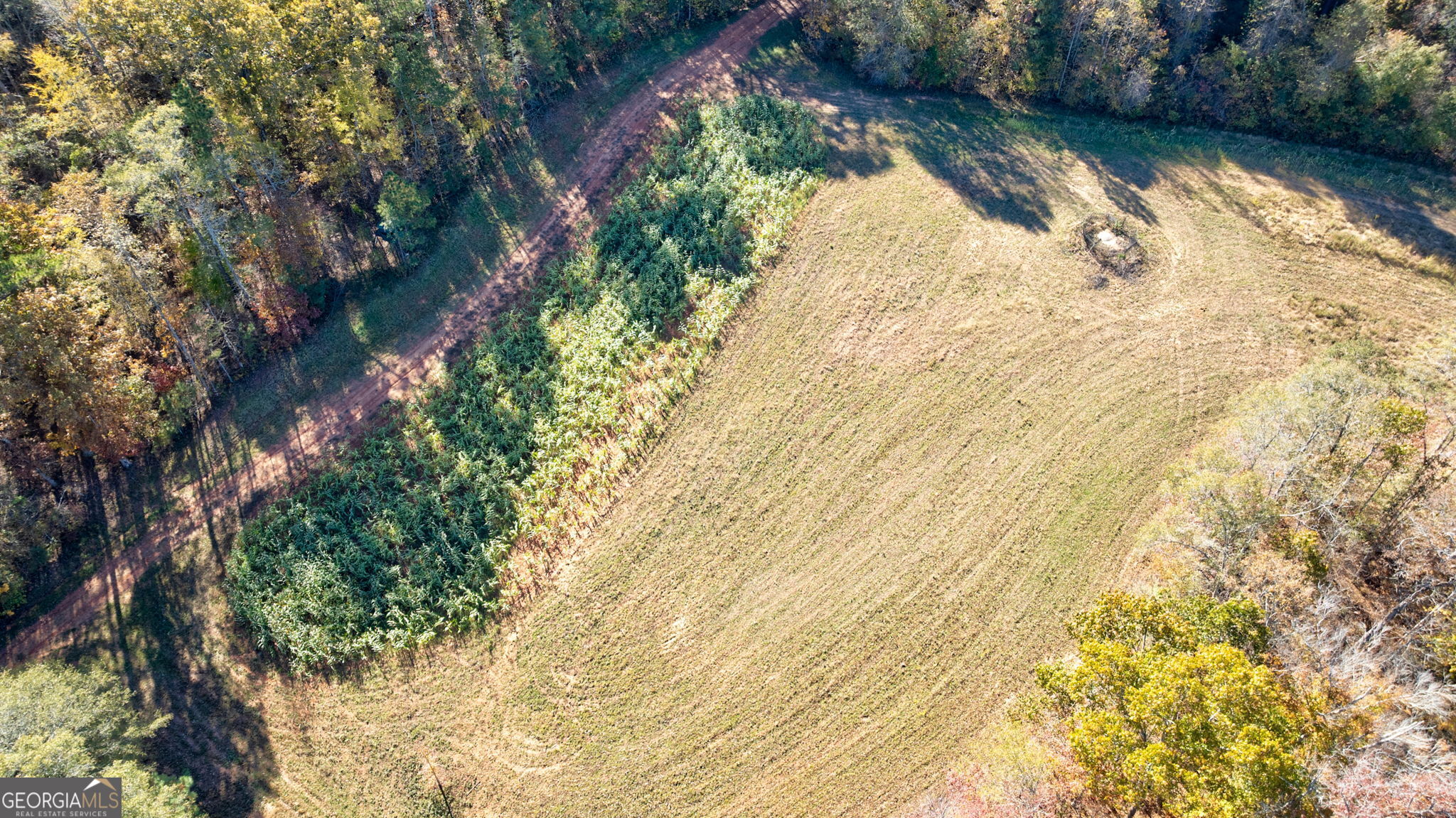 889 Wesley Chapel Road Lexington, GA 30648 - Photo 17 of 63