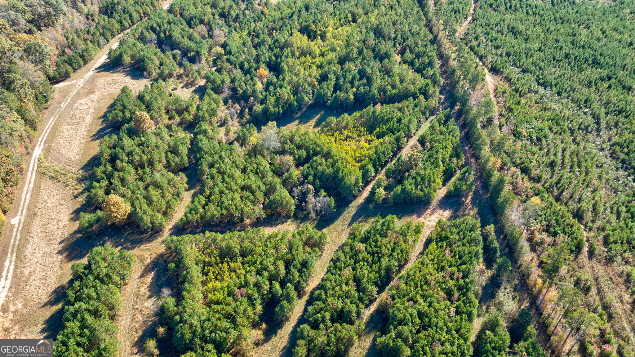 889 Wesley Chapel Road Lexington, GA 30648 - Photo 18 of 63