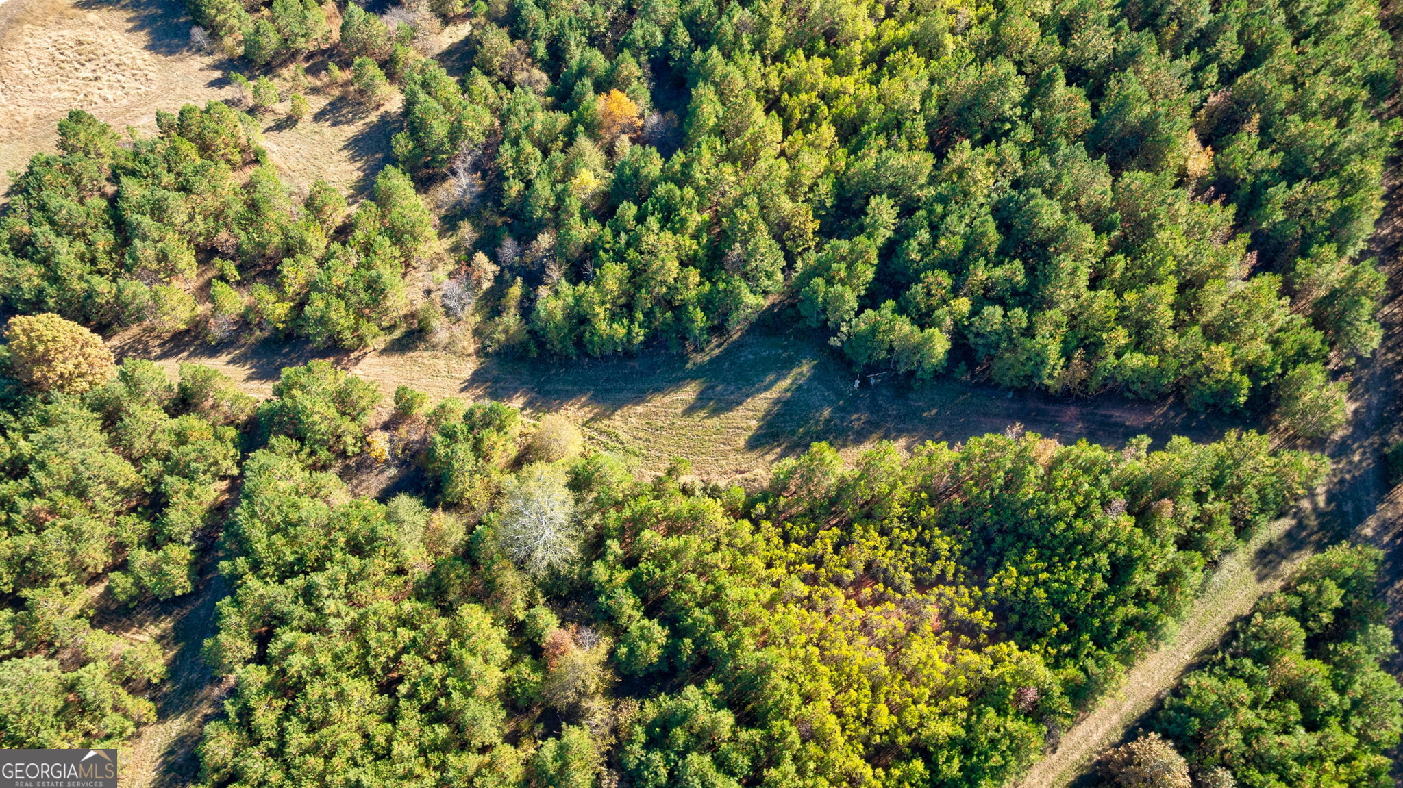 889 Wesley Chapel Road Lexington, GA 30648 - Photo 21 of 63