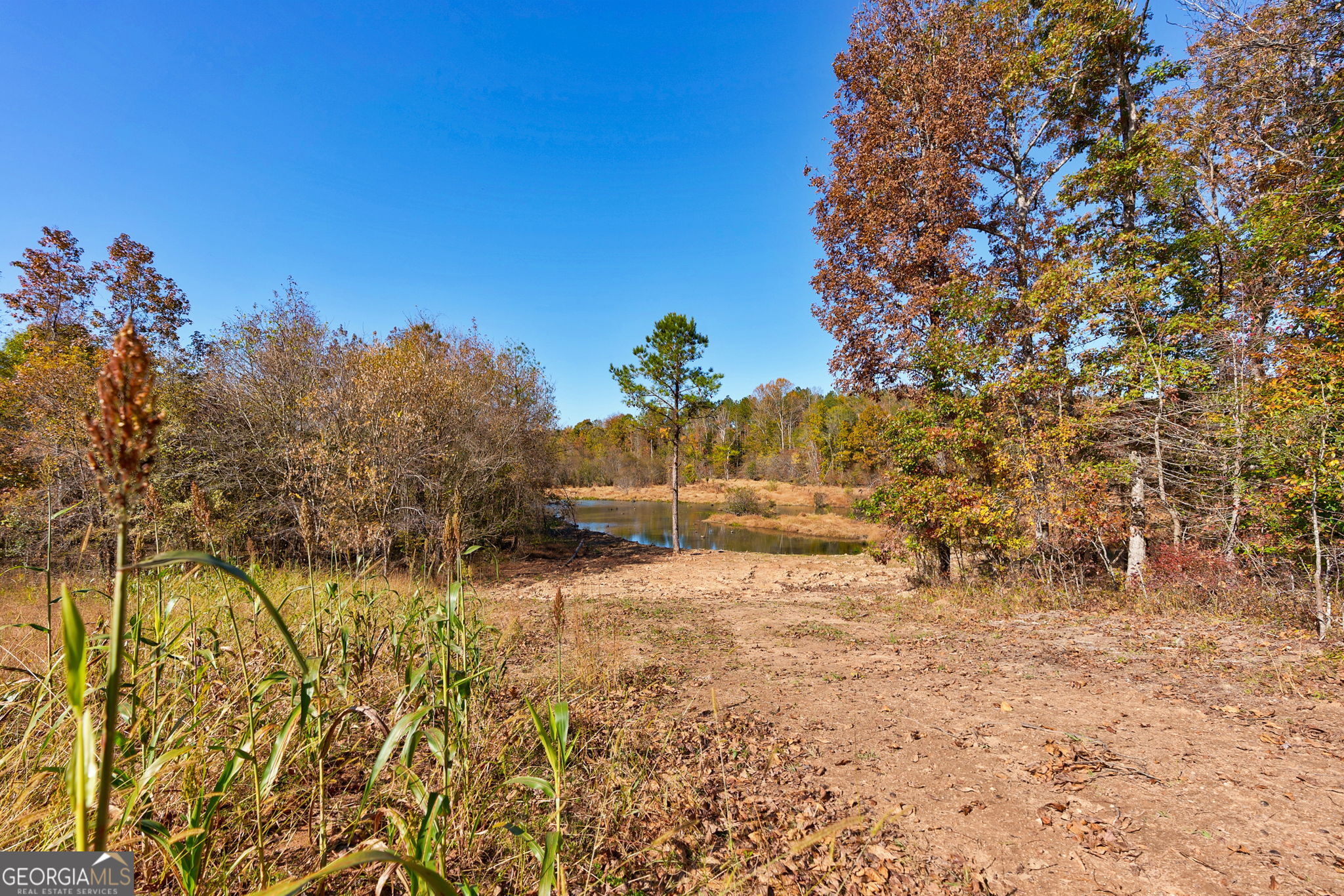 889 Wesley Chapel Road Lexington, GA 30648 - Photo 37 of 63