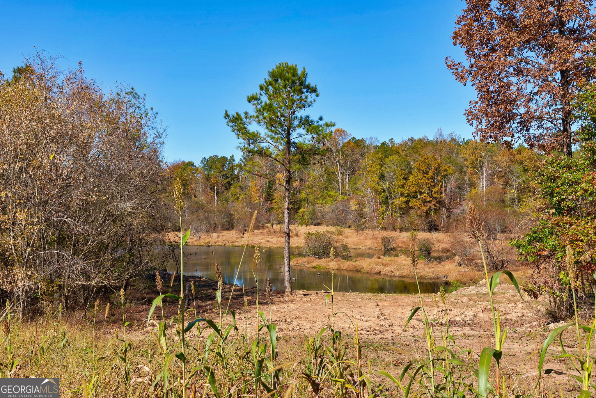 889 Wesley Chapel Road Lexington, GA 30648 - Photo 38 of 63