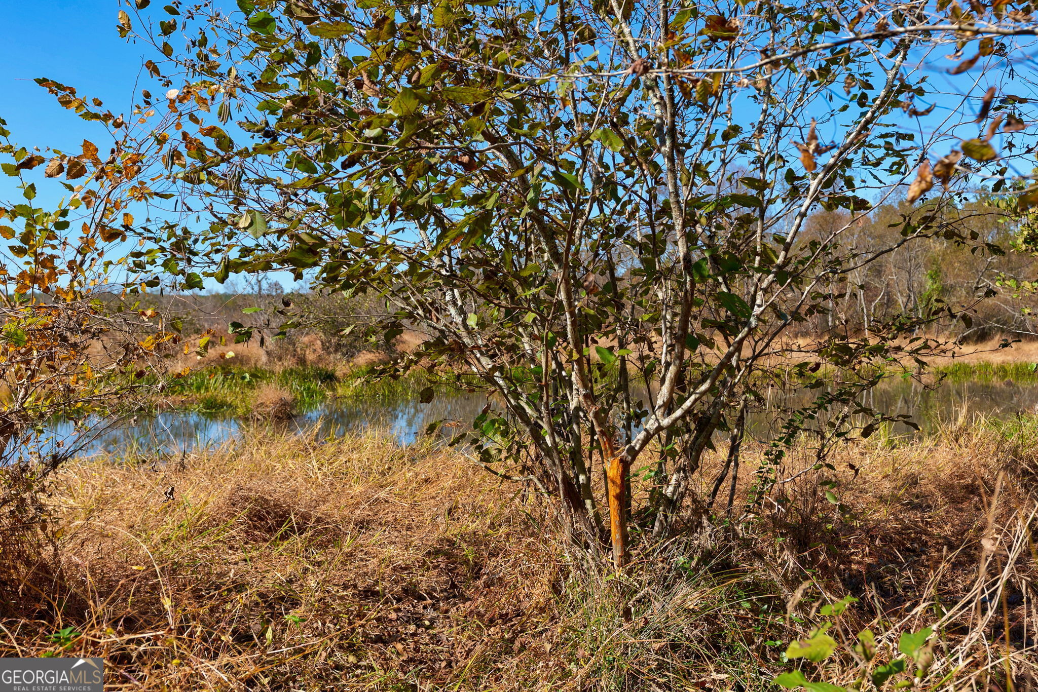 889 Wesley Chapel Road Lexington, GA 30648 - Photo 39 of 63