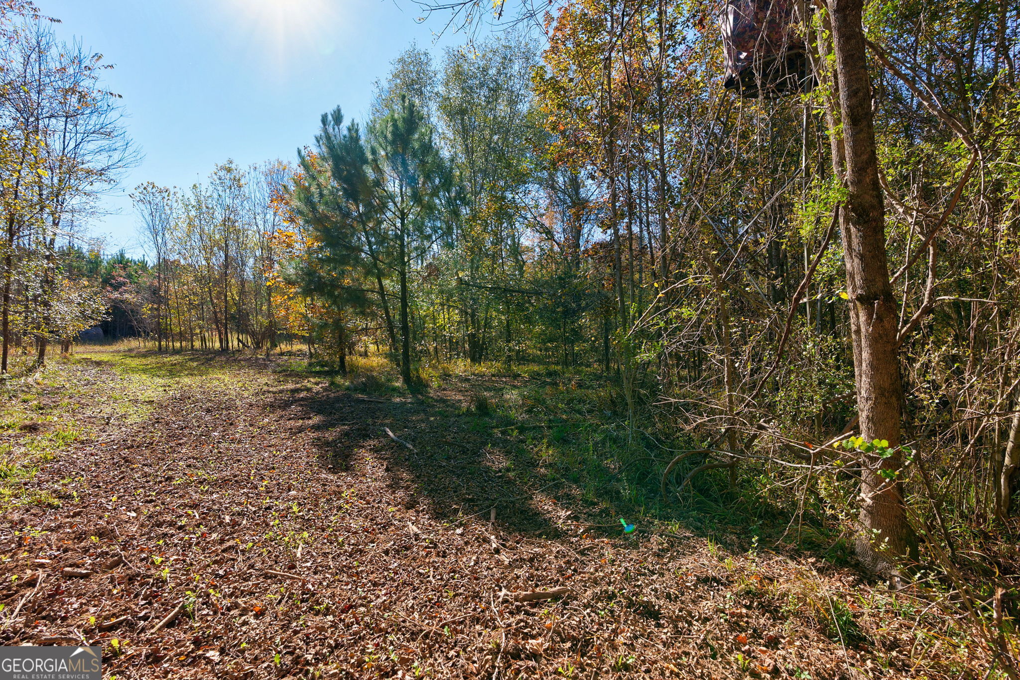 889 Wesley Chapel Road Lexington, GA 30648 - Photo 40 of 63