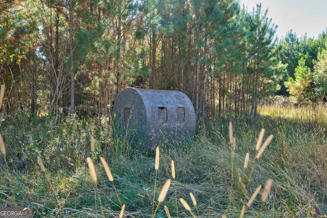 a view of yard with trees