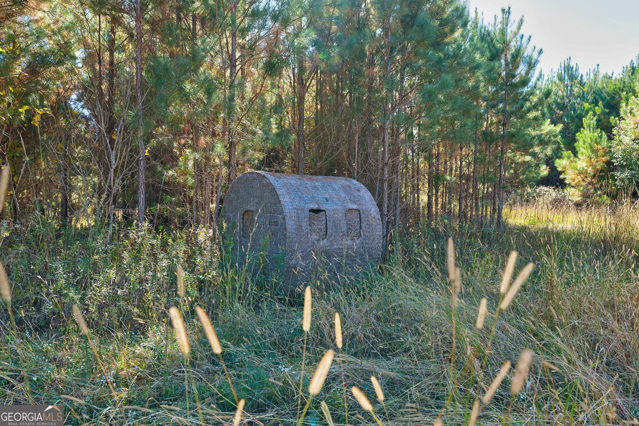 889 Wesley Chapel Road Lexington, GA 30648 - Photo 41 of 63