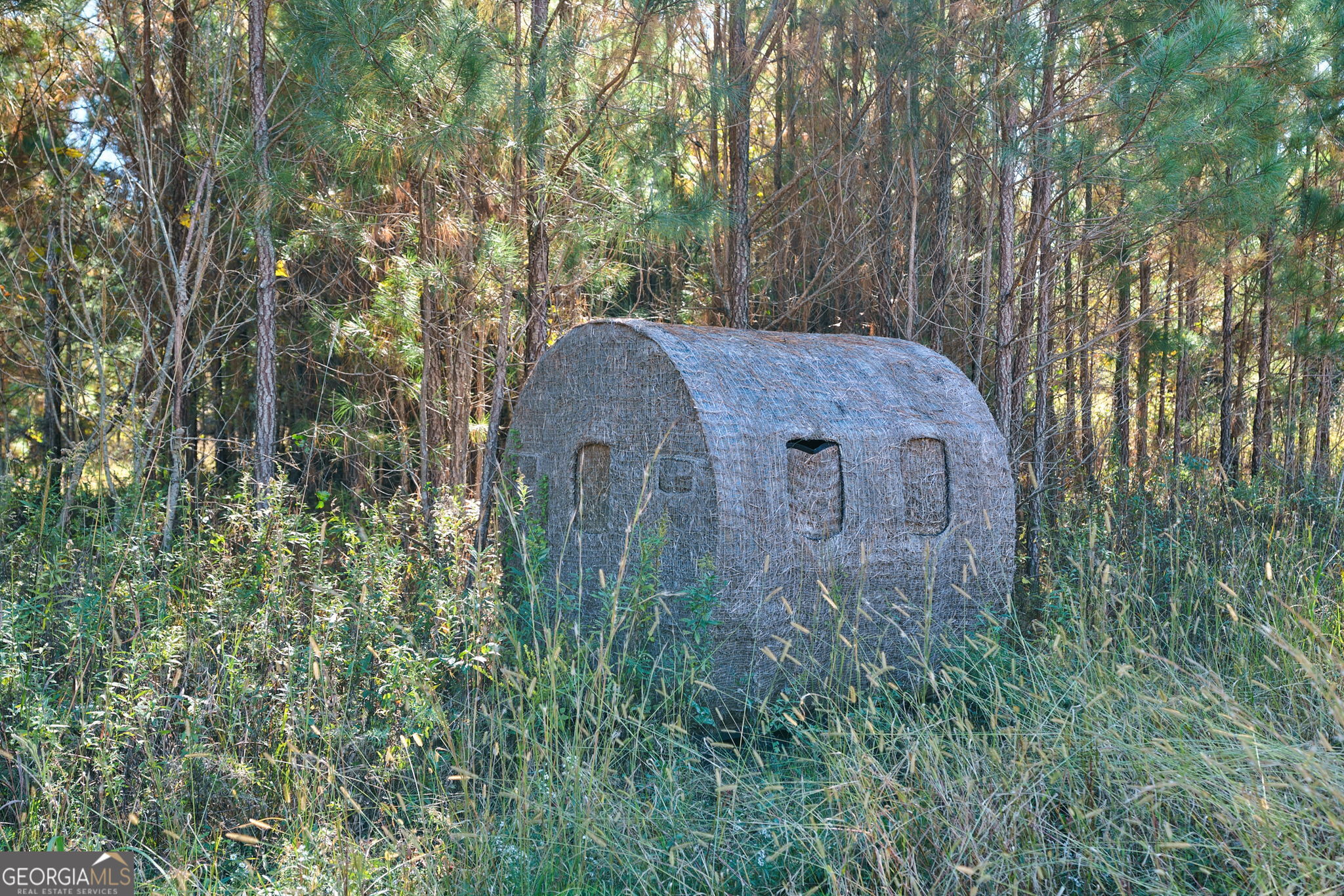 889 Wesley Chapel Road Lexington, GA 30648 - Photo 43 of 63