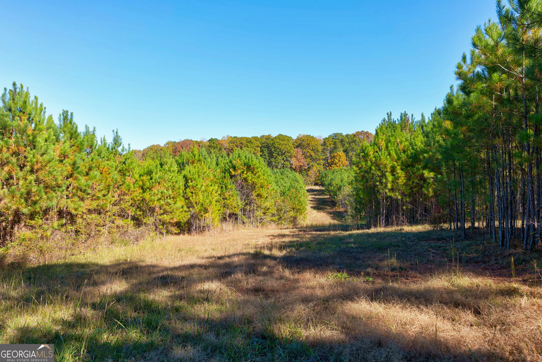 889 Wesley Chapel Road Lexington, GA 30648 - Photo 45 of 63