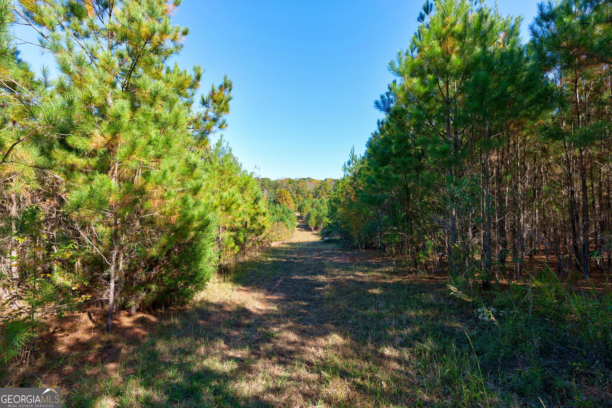 889 Wesley Chapel Road Lexington, GA 30648 - Photo 46 of 63