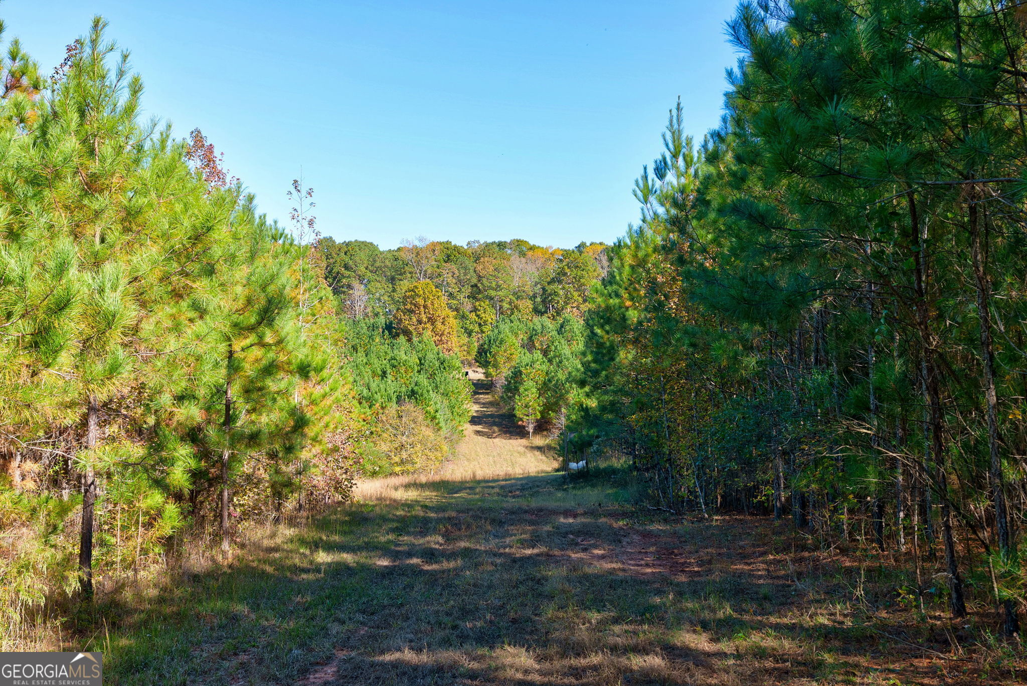 889 Wesley Chapel Road Lexington, GA 30648 - Photo 47 of 63