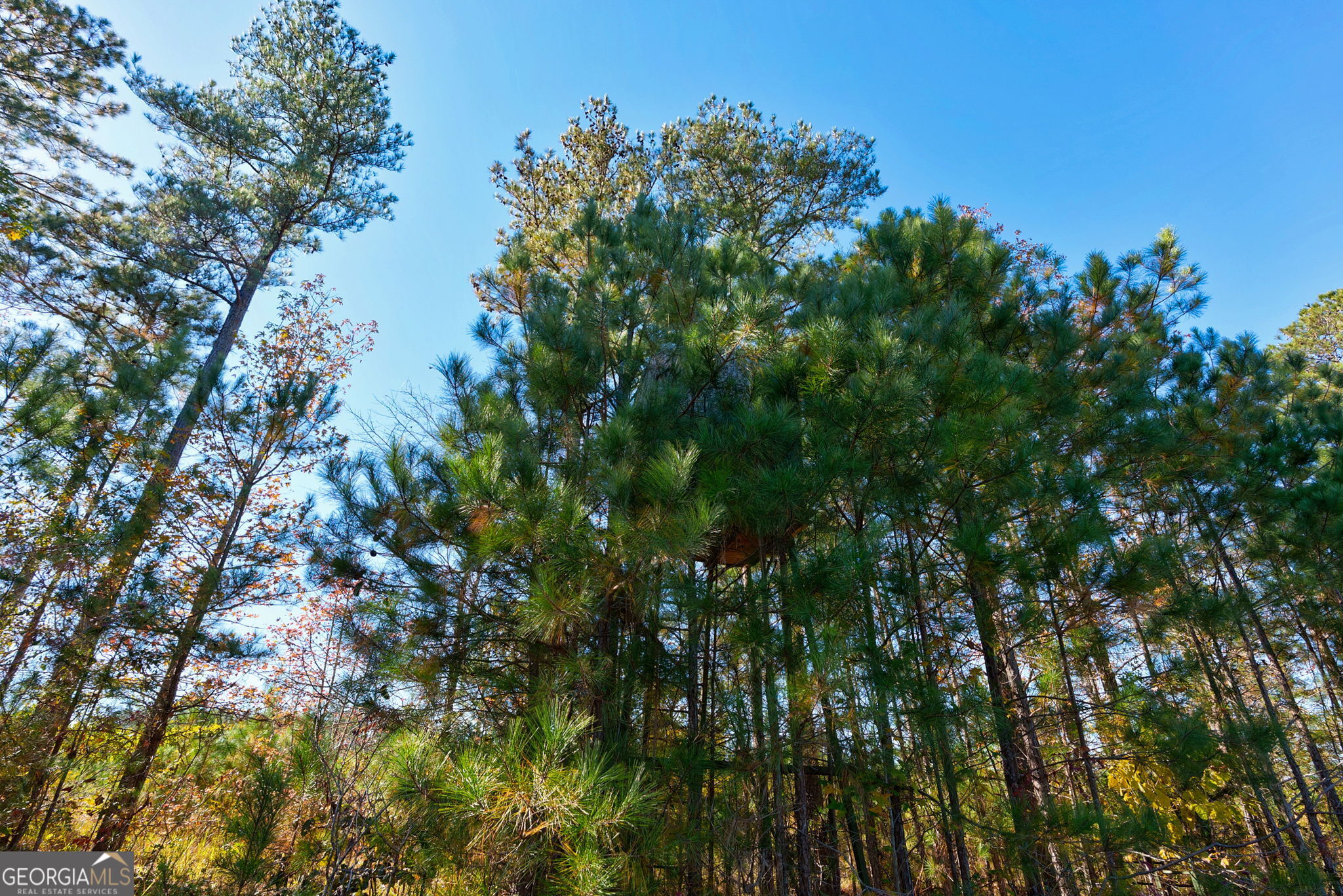 889 Wesley Chapel Road Lexington, GA 30648 - Photo 48 of 63