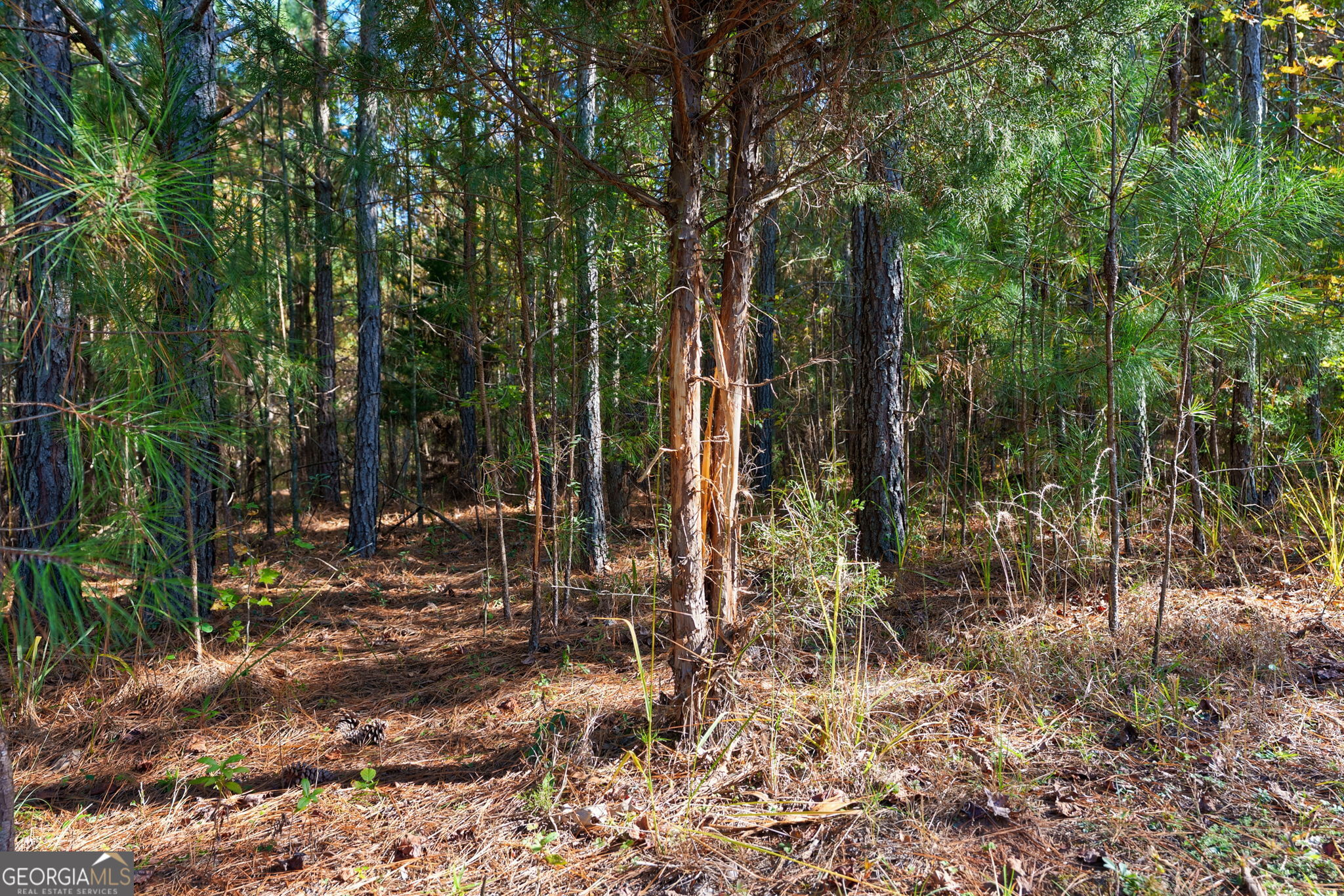 889 Wesley Chapel Road Lexington, GA 30648 - Photo 49 of 63