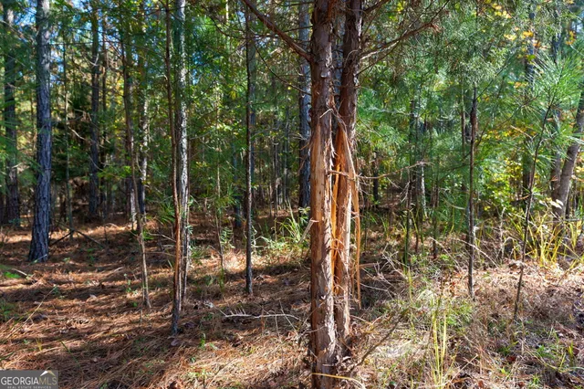 a view of a yard with trees