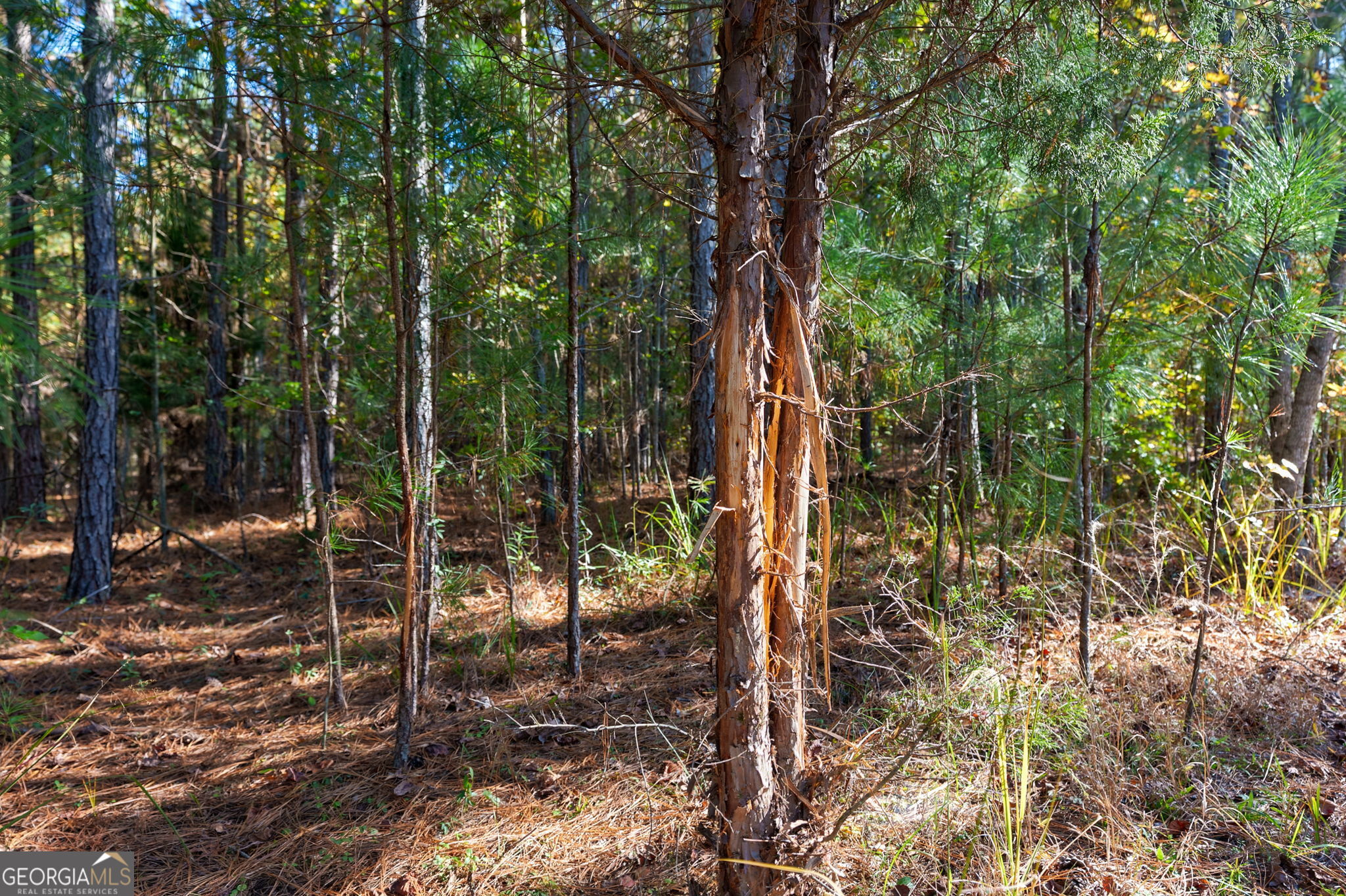 889 Wesley Chapel Road Lexington, GA 30648 - Photo 50 of 63