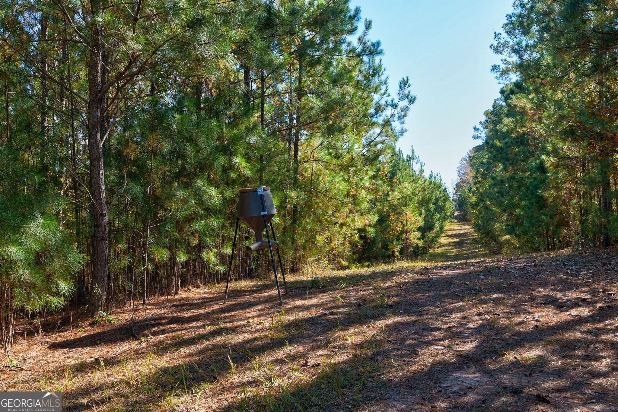 889 Wesley Chapel Road Lexington, GA 30648 - Photo 51 of 63