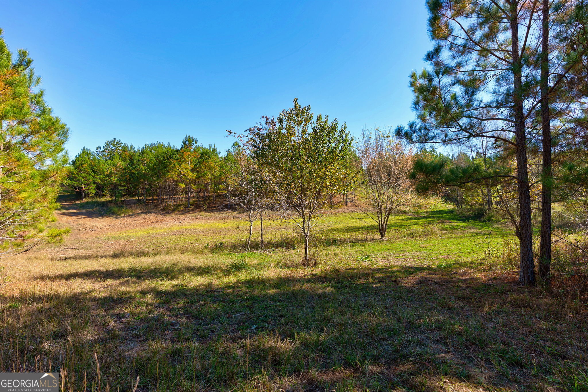 889 Wesley Chapel Road Lexington, GA 30648 - Photo 52 of 63