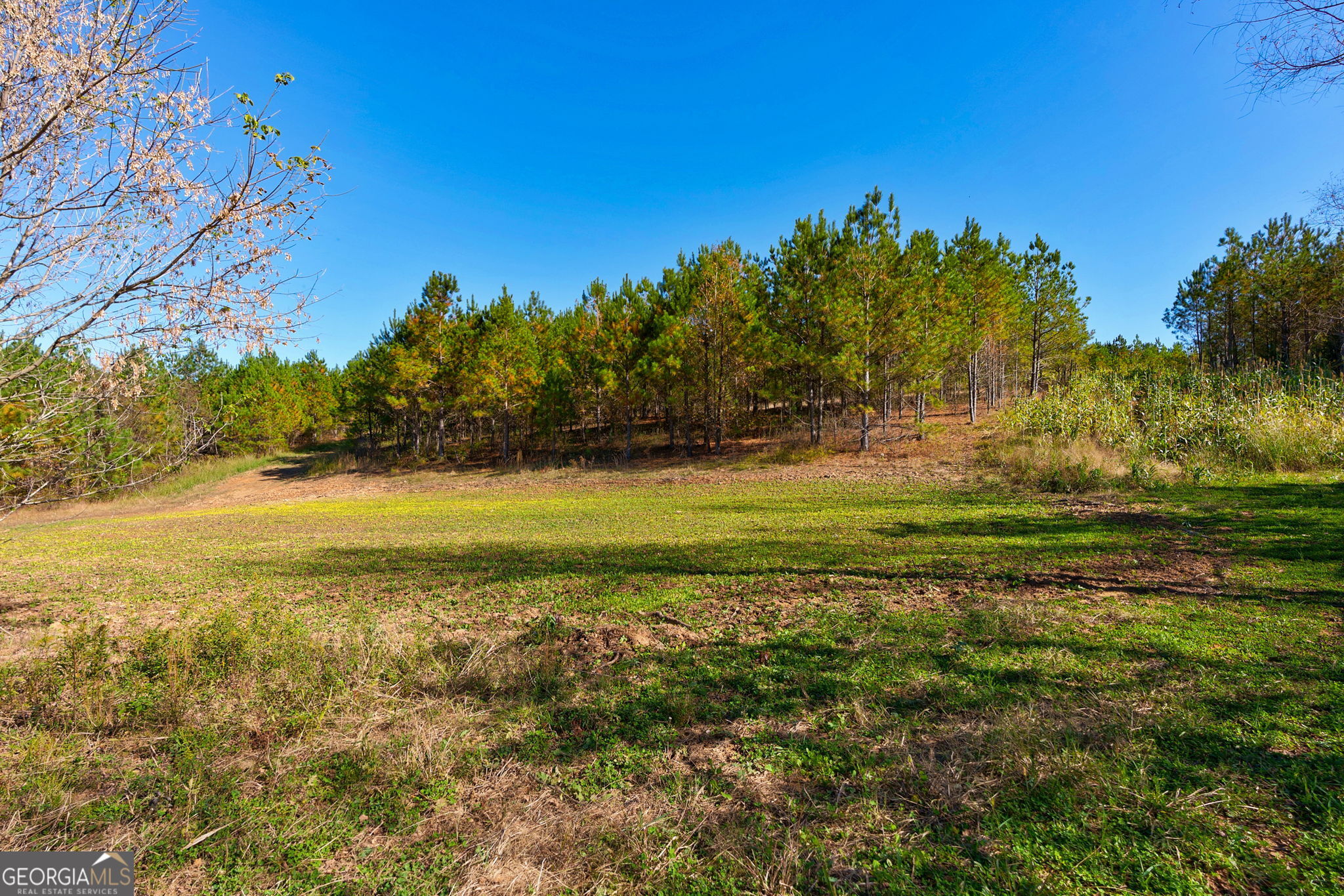 889 Wesley Chapel Road Lexington, GA 30648 - Photo 53 of 63