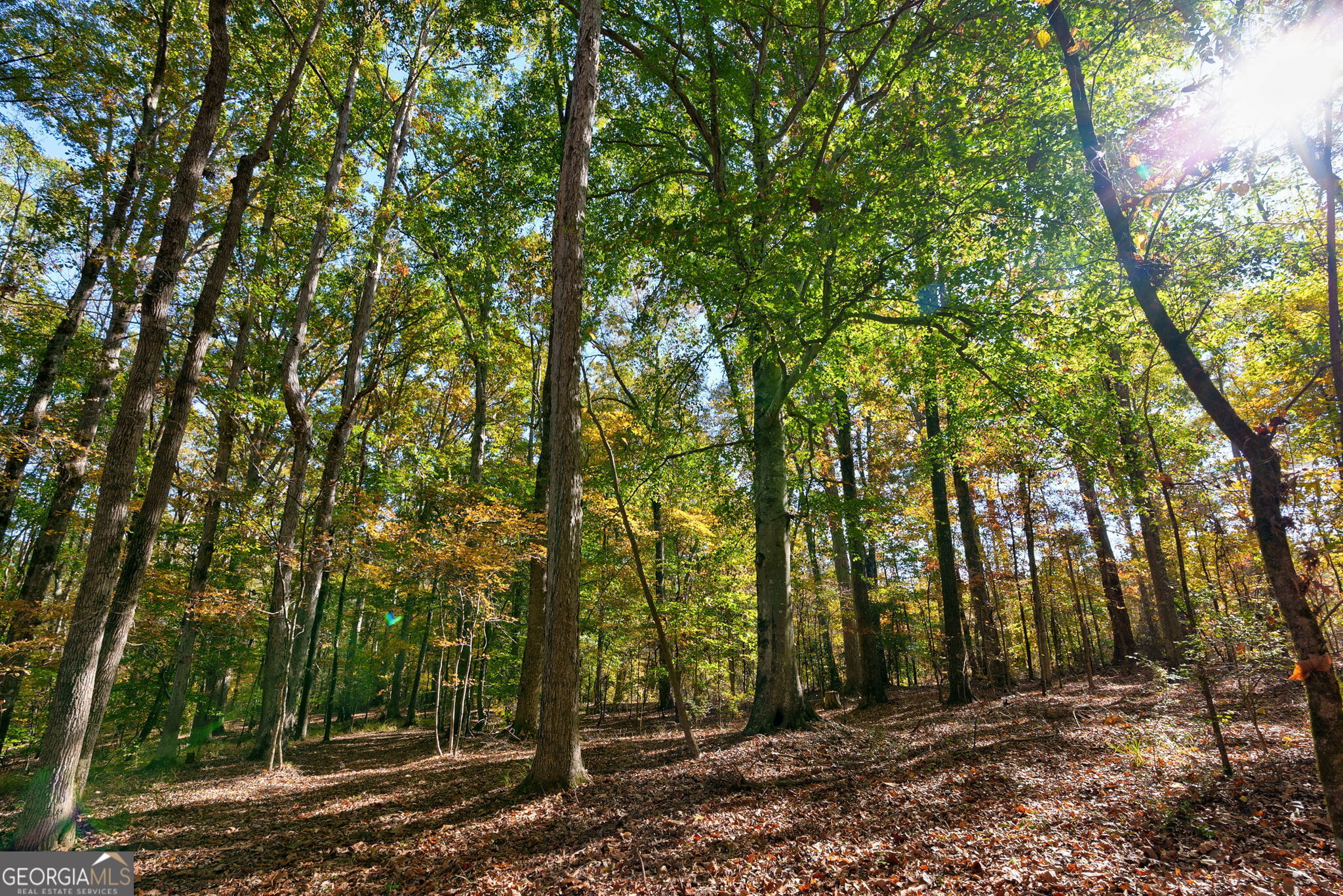 889 Wesley Chapel Road Lexington, GA 30648 - Photo 54 of 63