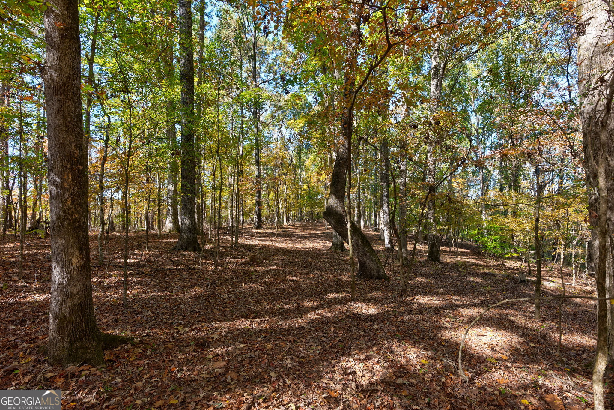 889 Wesley Chapel Road Lexington, GA 30648 - Photo 56 of 63