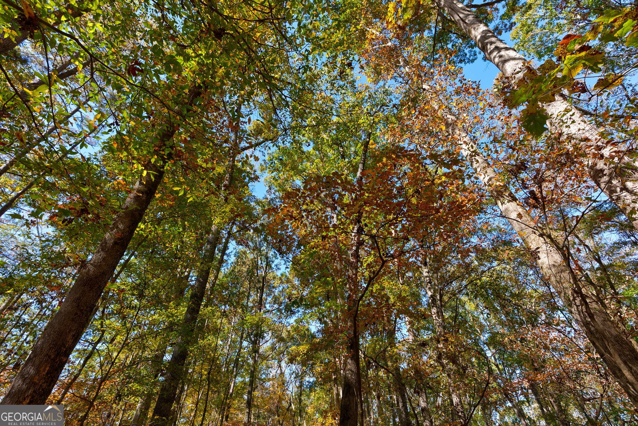 889 Wesley Chapel Road Lexington, GA 30648 - Photo 57 of 63