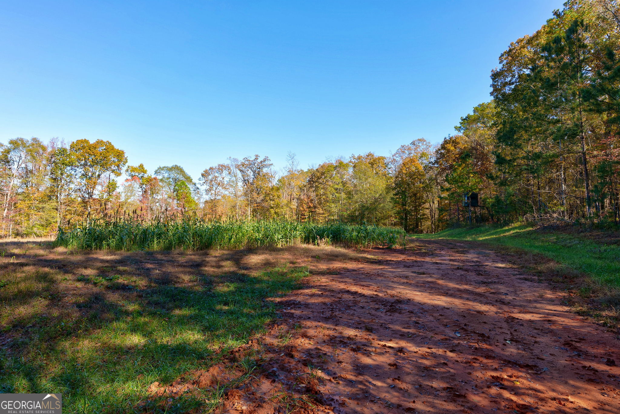 889 Wesley Chapel Road Lexington, GA 30648 - Photo 58 of 63