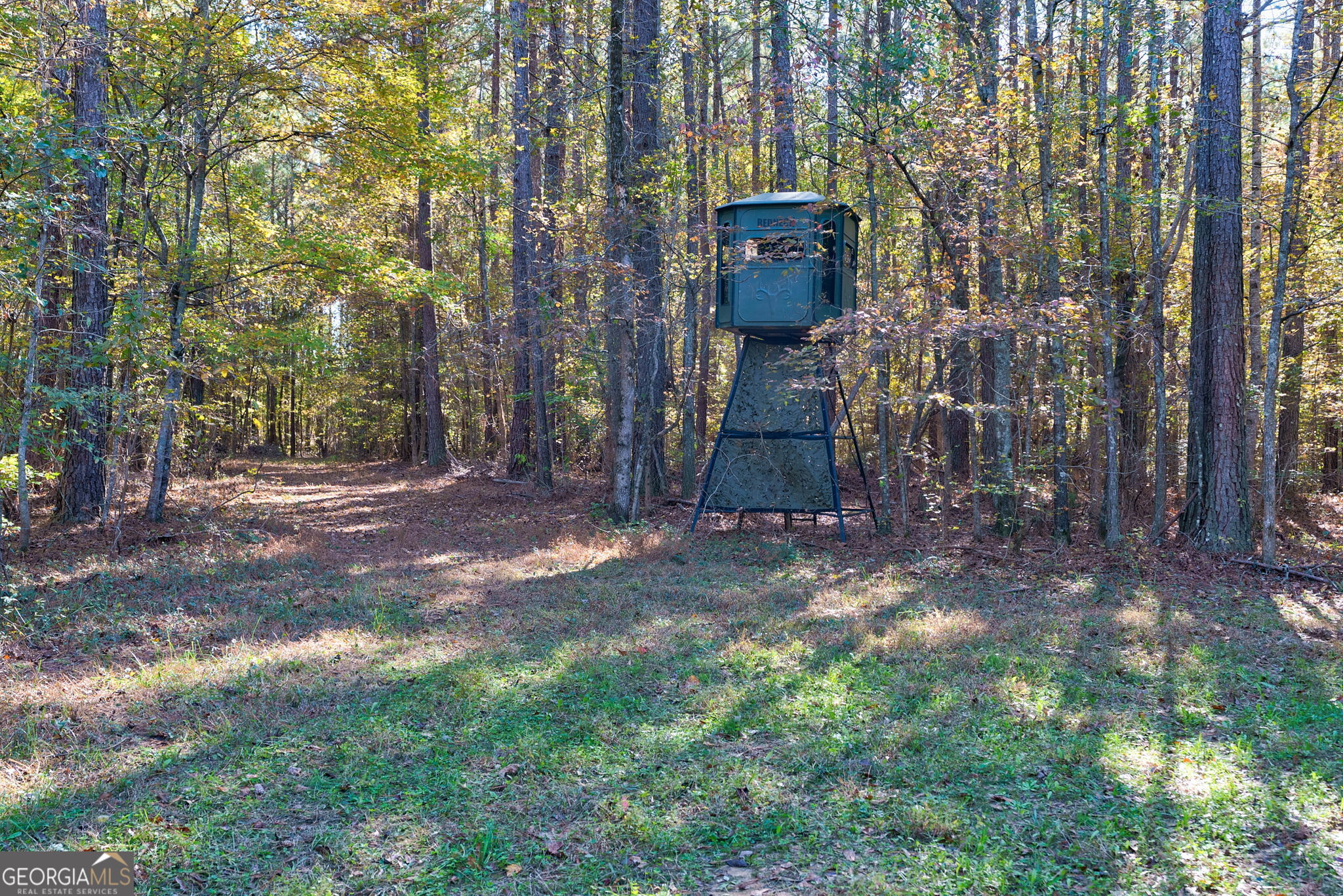 889 Wesley Chapel Road Lexington, GA 30648 - Photo 61 of 63