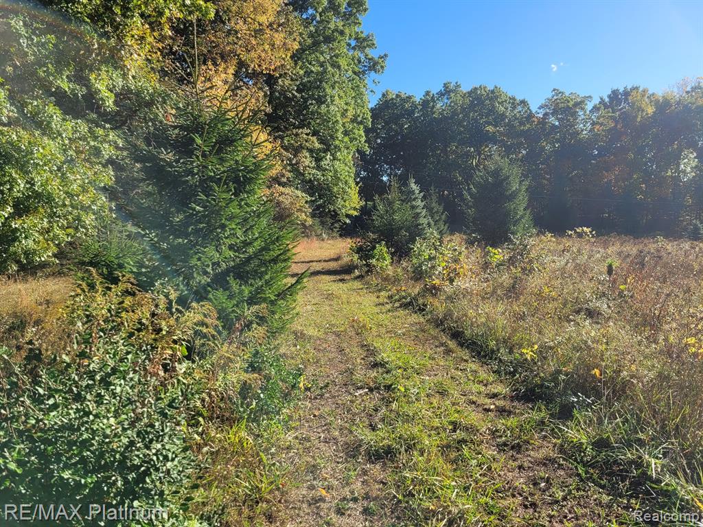 Parc B Tipsico Lake Road Hartland, MI 48353 - Photo 7 of 22