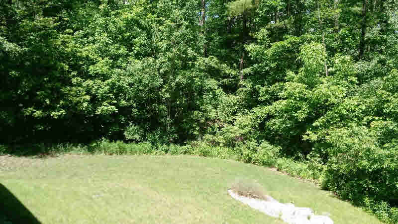 4726 North Carter Road Pinconning, MI 48650 - Photo 16 of 21