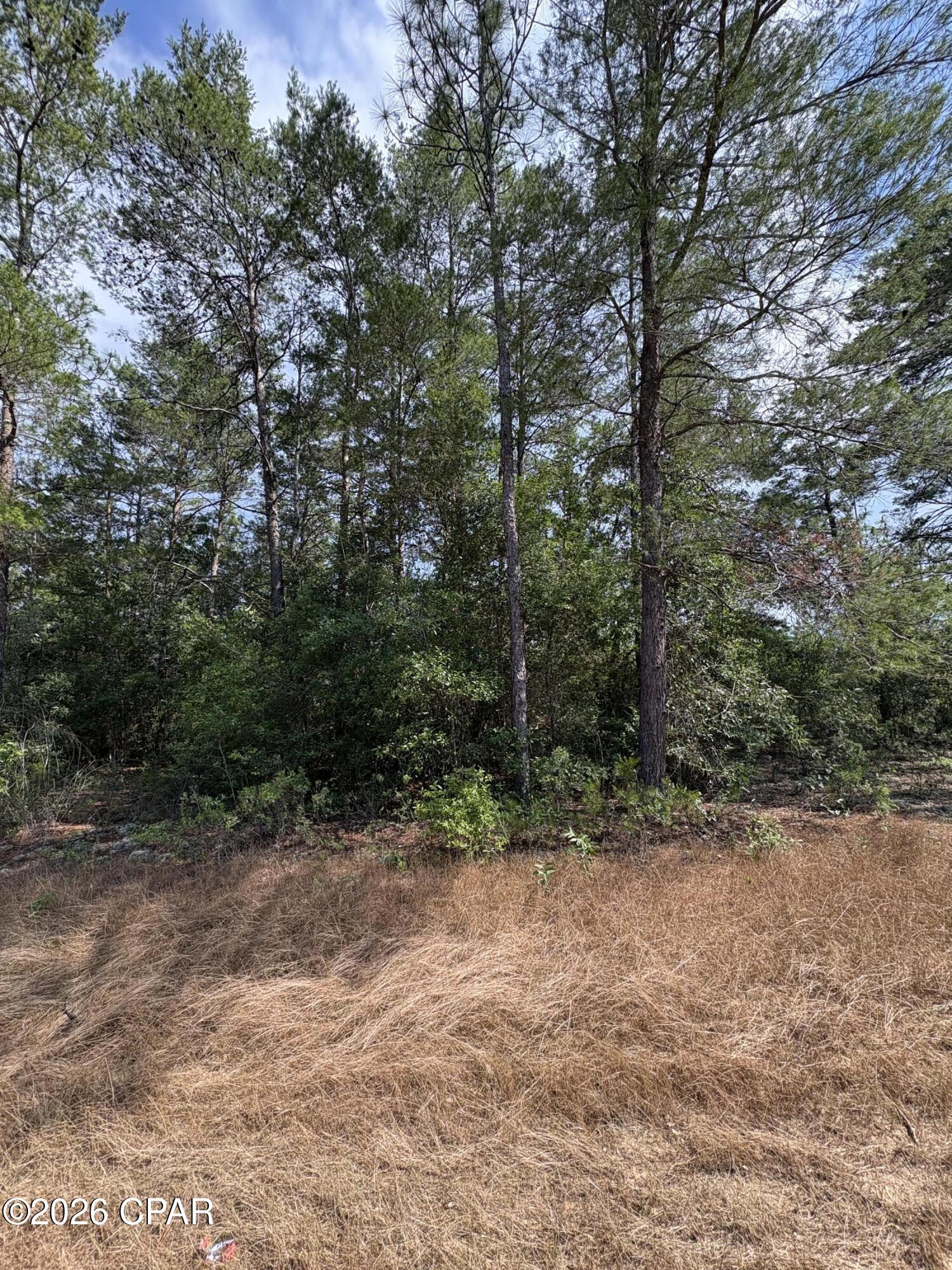 Lot 2 Dumajack Road Chipley, FL 32428 - Photo 3 of 33