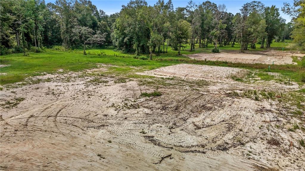 39540 Lee's Landing Road Ponchatoula, LA 70454 - Photo 2 of 14