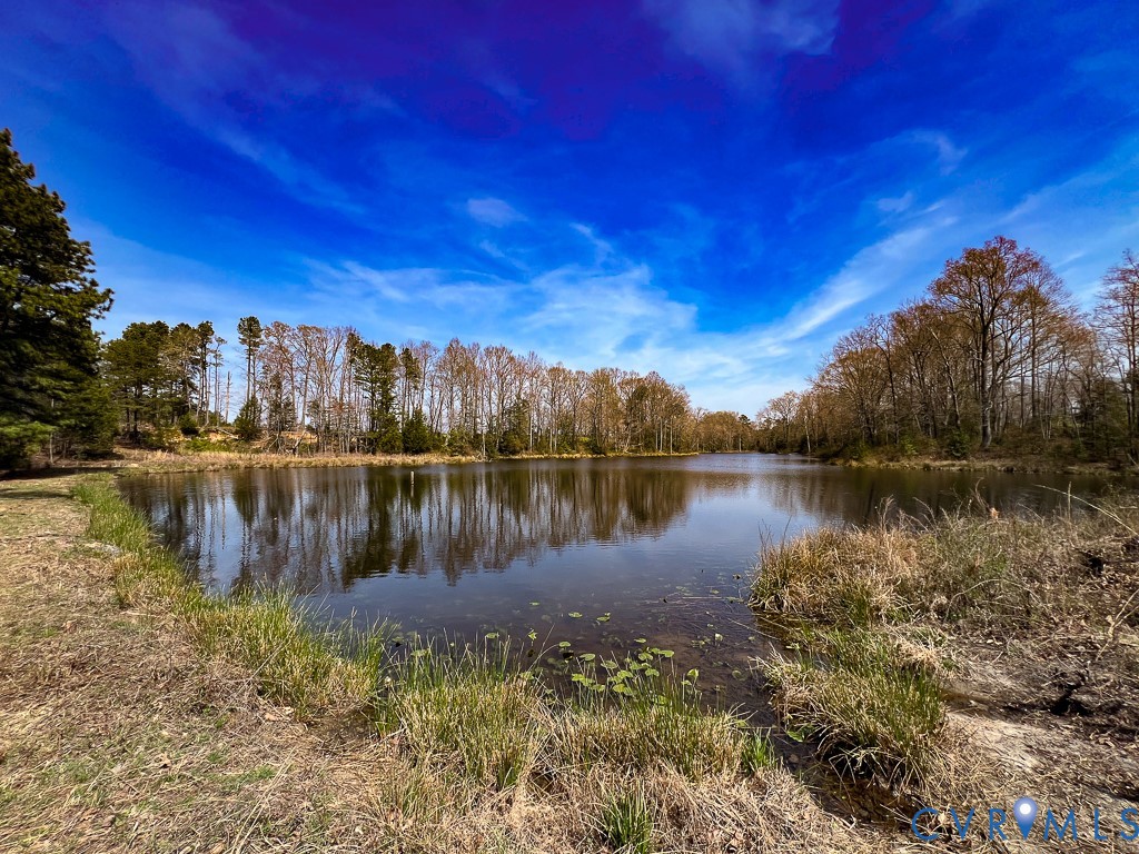 32082 Sparta Road Milford, VA 22514 - Photo 3 of 39 a view of a lake with a city