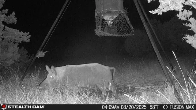 $299,000 | 14832 Highway 41, Rocksprings, TX 78880